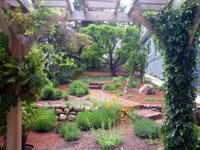 Top Errors In House Landscaping