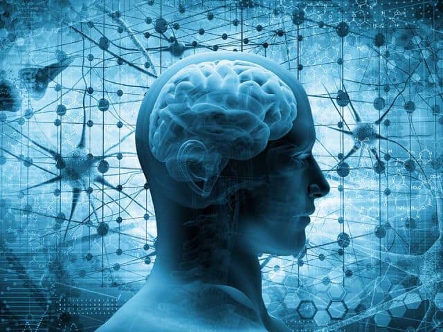 Between Stress and Brain Function